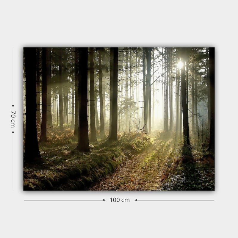 Lerretsbilde 70x100 cm - Mystisk skog med solstråler som bryter gjennom trærne - Mørkegrønn / Lysegrønn / Brun - Innredning - Bilder & kunst - Lerretsbilder