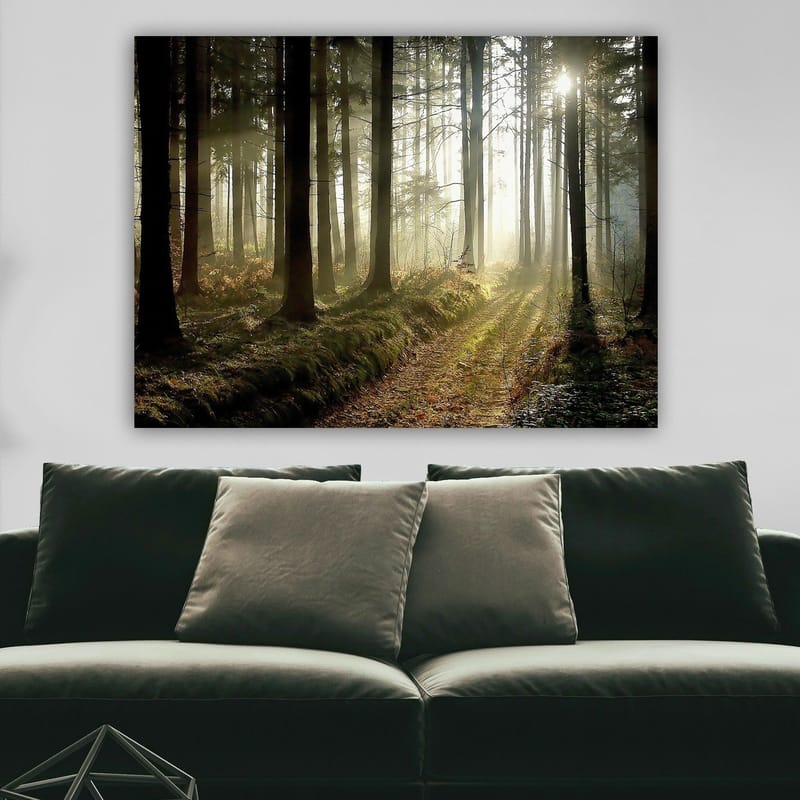 Lerretsbilde 70x100 cm - Mystisk skog med solstråler som bryter gjennom trærne - Mørkegrønn / Lysegrønn / Brun - Innredning - Bilder & kunst - Lerretsbilder