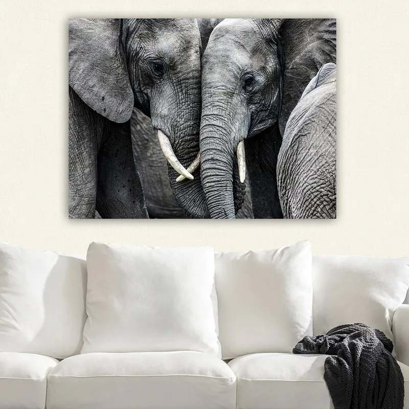 Lerretsbilde 70x100 cm - Nærbilde av elefanter som viser ansiktene sine og beiter i en intim samling - Grå / Hvit - Innredning - Bilder & kunst - Lerretsbilder