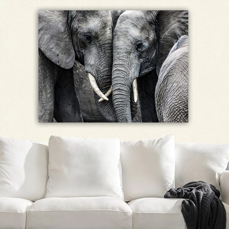 Lerretsbilde 70x100 cm - Nærbilde av elefanter som viser ansiktene sine og beiter i en intim samling - Grå / Hvit - Innredning - Bilder & kunst - Lerretsbilder