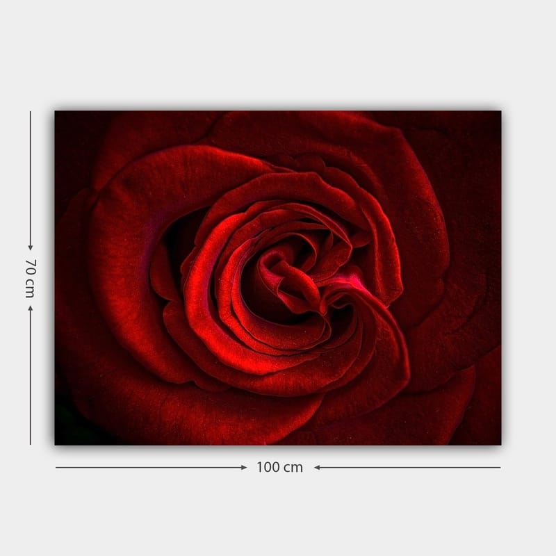 Lerretsbilde 70x100 cm - Nærbilde av en vakker rød rose med detaljerte kronblader - Rød / Mørk rød - Innredning - Bilder & kunst - Lerretsbilder