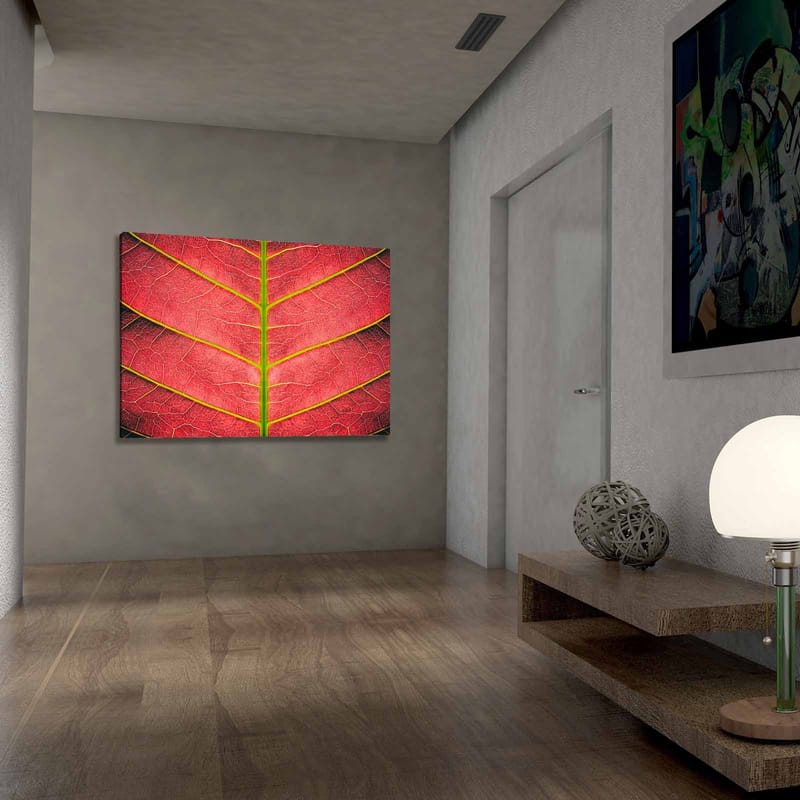 Lerretsbilde 70x100 cm - Nærbilde av et rødlig blad med detaljerte årer - Rød / Grønn - Innredning - Bilder & kunst - Lerretsbilder