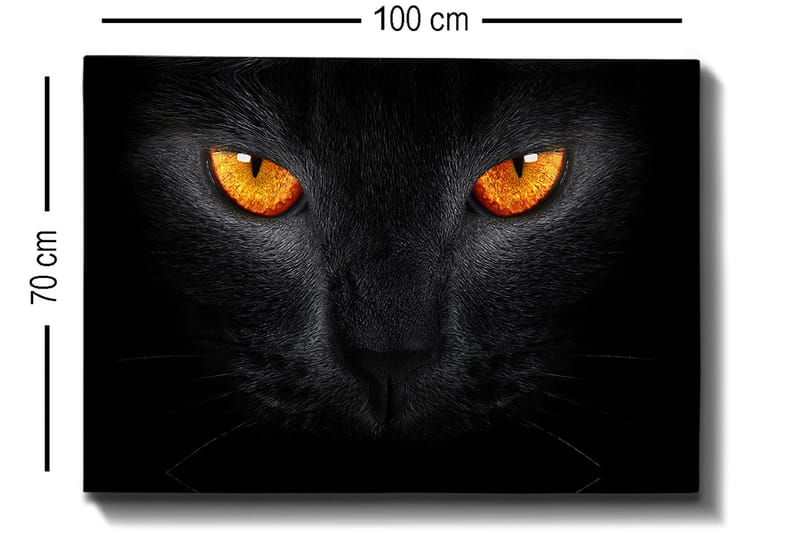 Lerretsbilde 70x100 cm - Nærbilde av et svart kattehode med intense øyne - Svart / Oransje - Innredning - Bilder & kunst - Lerretsbilder