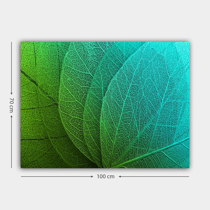 Lerretsbilde 70x100 cm - Nærbilde av grønne og turkise blader med detaljerte årer - Grønn / Turkis - Innredning - Bilder & kunst - Lerretsbilder