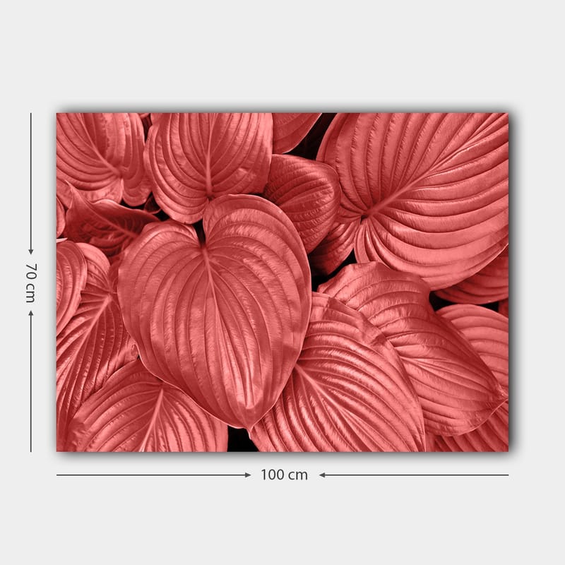 Lerretsbilde 70x100 cm - Nærbilde av vakre, røde blader med klare årer - Rød / Svart - Innredning - Bilder & kunst - Lerretsbilder
