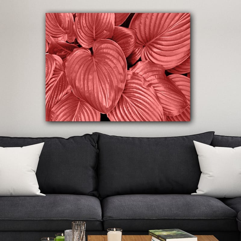 Lerretsbilde 70x100 cm - Nærbilde av vakre, røde blader med klare årer - Rød / Svart - Innredning - Bilder & kunst - Lerretsbilder
