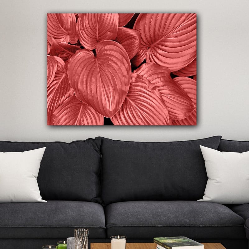 Lerretsbilde 70x100 cm - Nærbilde av vakre, røde blader med klare årer - Rød / Svart - Innredning - Bilder & kunst - Lerretsbilder