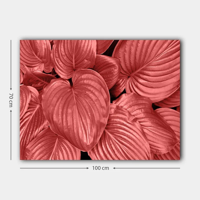 Lerretsbilde 70x100 cm - Nærbilde av vakre, røde blader med klare årer - Rød / Svart - Innredning - Bilder & kunst - Lerretsbilder