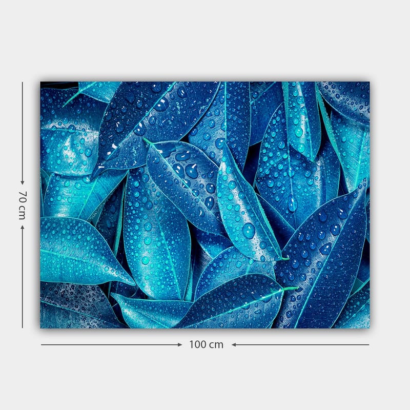 Lerretsbilde 70x100 cm - Nærbilde av vanndråper på grønne blader som skaper en frisk og livlig følelse - Blå / Turkis - Innredning - Bilder & kunst - Lerretsbilder