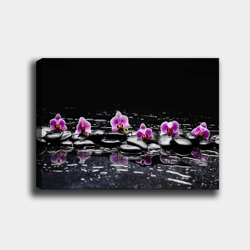 Lerretsbilde 70x100 cm - Rad med lilla orkideer som hviler på svarte steiner med refleksjoner i vann - Lilla / Svart - Innredning - Bilder & kunst - Lerretsbilder
