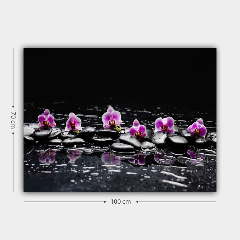 Lerretsbilde 70x100 cm - Rad med lilla orkideer som hviler på svarte steiner med refleksjoner i vann - Lilla / Svart - Innredning - Bilder & kunst - Lerretsbilder