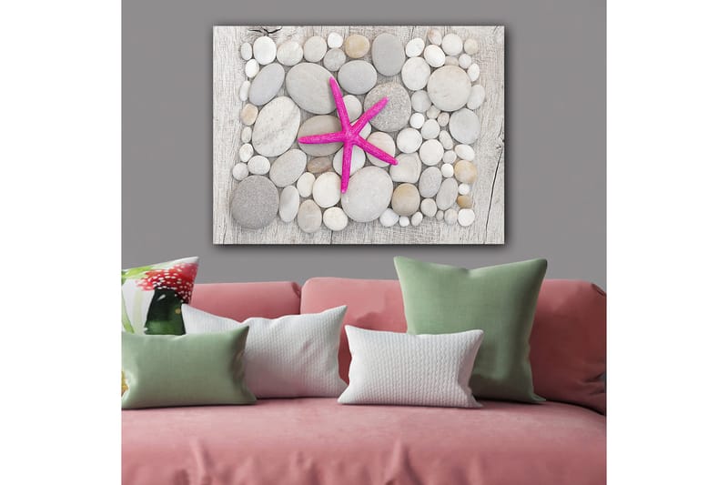 Lerretsbilde 70x100 cm - Rosa sjøstjerne omgitt av grå og hvite steiner, Grå / Hvit / Rosa
