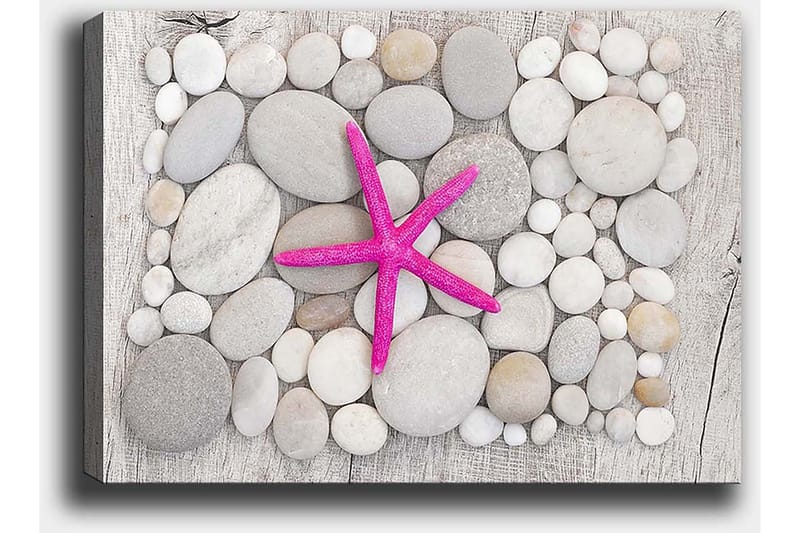 Lerretsbilde 70x100 cm - Rosa sjøstjerne omgitt av grå og hvite steiner - Grå / Hvit / Rosa - Innredning - Bilder & kunst - Lerretsbilder