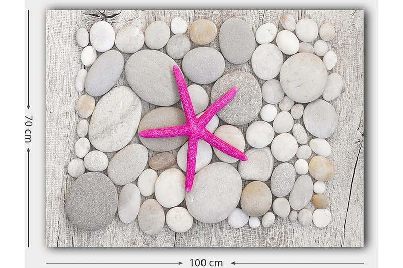 Lerretsbilde 70x100 cm - Rosa sjøstjerne omgitt av grå og hvite steiner - Grå / Hvit / Rosa - Innredning - Bilder & kunst - Lerretsbilder