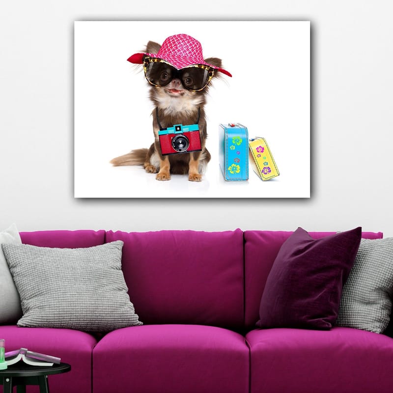 Lerretsbilde 70x100 cm - Søt chihuahua med solhatt og solbriller, med et kamera hengende rundt halsen - Rosa / Blå / Rød - Innredning - Bilder & kunst - Lerretsbilder