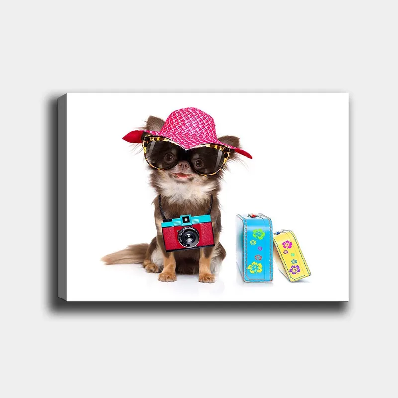 Lerretsbilde 70x100 cm - Søt chihuahua med solhatt og solbriller, med et kamera hengende rundt halsen, Rosa / Blå / Rød