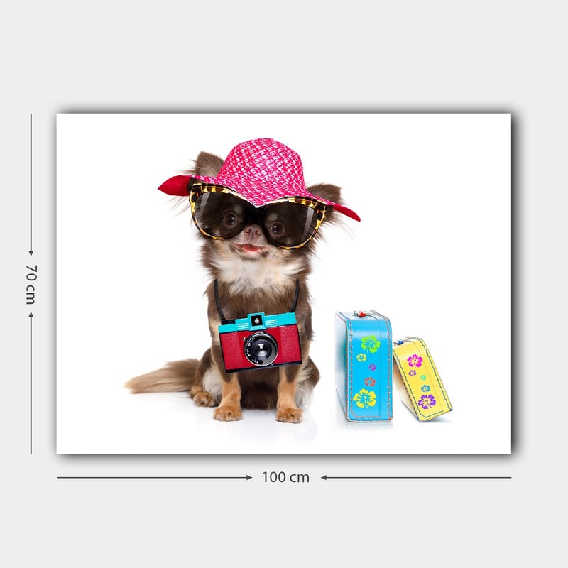 Lerretsbilde 70x100 cm - Søt chihuahua med solhatt og solbriller, med et kamera hengende rundt halsen - Rosa / Blå / Rød - Innredning - Bilder & kunst - Lerretsbilder
