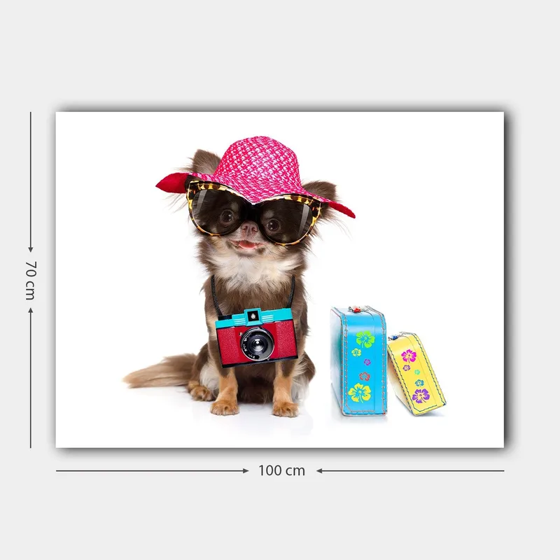Lerretsbilde 70x100 cm - Søt chihuahua med solhatt og solbriller, med et kamera hengende rundt halsen - Rosa / Blå / Rød - Innredning - Bilder & kunst - Lerretsbilder