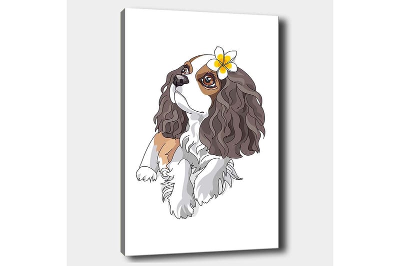 Lerretsbilde 70x100 cm - Søt hund med krøllete hår og en blomst i øret - Brun / Hvit / Svart - Innredning - Bilder & kunst - Lerretsbilder