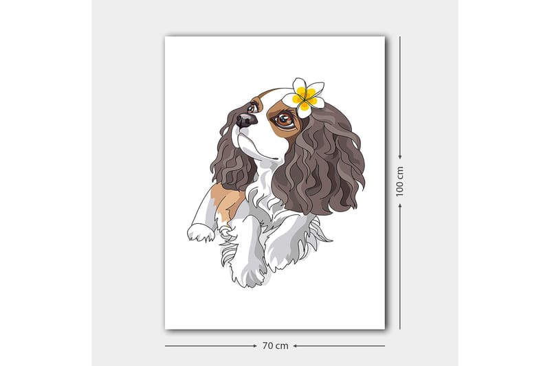 Lerretsbilde 70x100 cm - Søt hund med krøllete hår og en blomst i øret - Brun / Hvit / Svart - Innredning - Bilder & kunst - Lerretsbilder