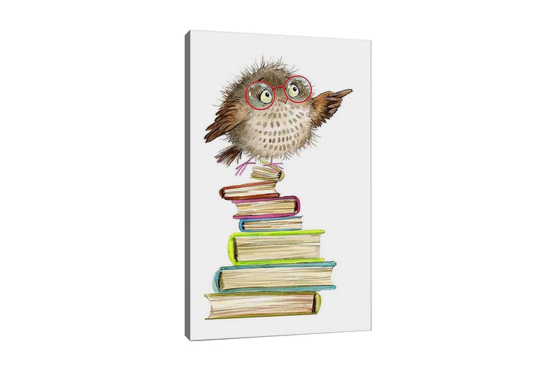 Lerretsbilde 70x100 cm - Søt ugle med briller som peker, sitter på en bunke med fargerike bøker, Brun / Grønn / Blå