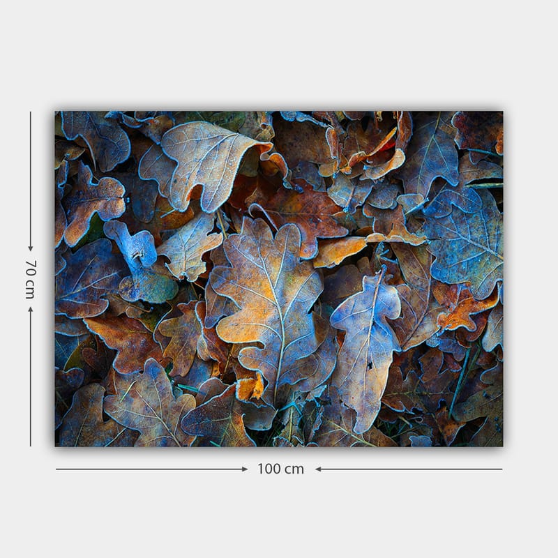 Lerretsbilde 70x100 cm - Samling av fargerike eikeblader i forskjellige nyanser som skaper en harmonisk og naturlig komposisjon - Blå / Oransje / Brun - Innredning - Bilder & kunst - Lerretsbilder