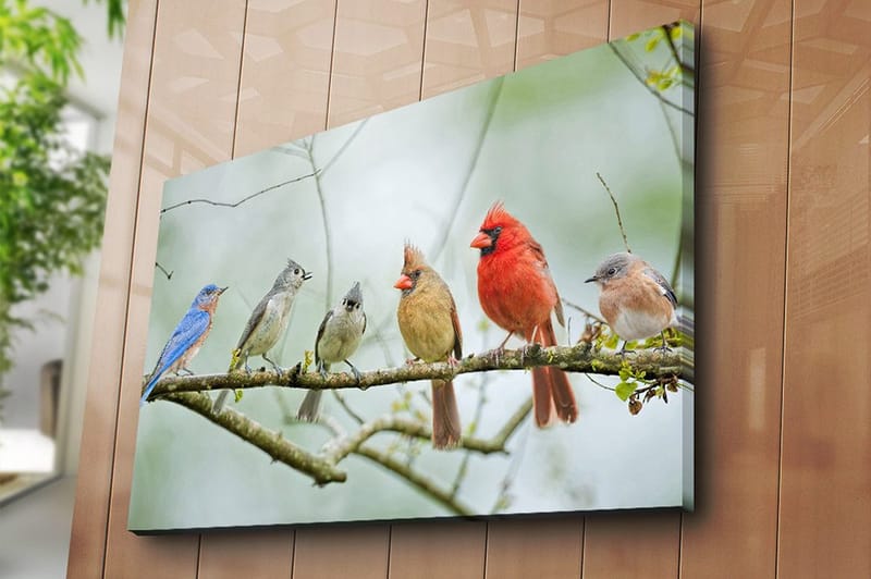 Lerretsbilde 70x100 cm - Samling av fargerike fugler som sitter på en gren - Blå / Rød / Grå - Innredning - Bilder & kunst - Lerretsbilder