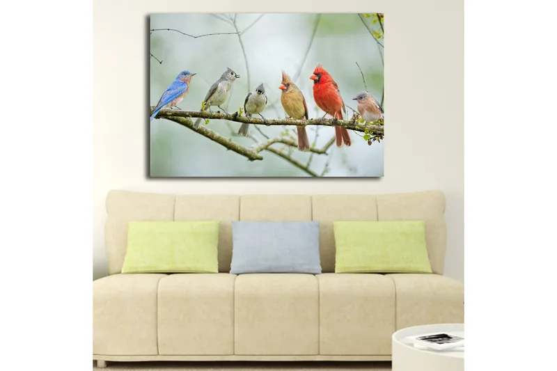 Lerretsbilde 70x100 cm - Samling av fargerike fugler som sitter på en gren - Blå / Rød / Grå - Innredning - Bilder & kunst - Lerretsbilder