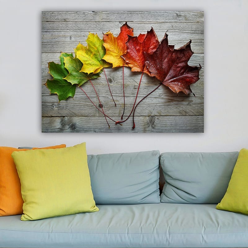 Lerretsbilde 70x100 cm - Samling av fargerike høstblader i forskjellige nyanser på en treflate - Grønn / Gul / Rød - Innredning - Bilder & kunst - Lerretsbilder