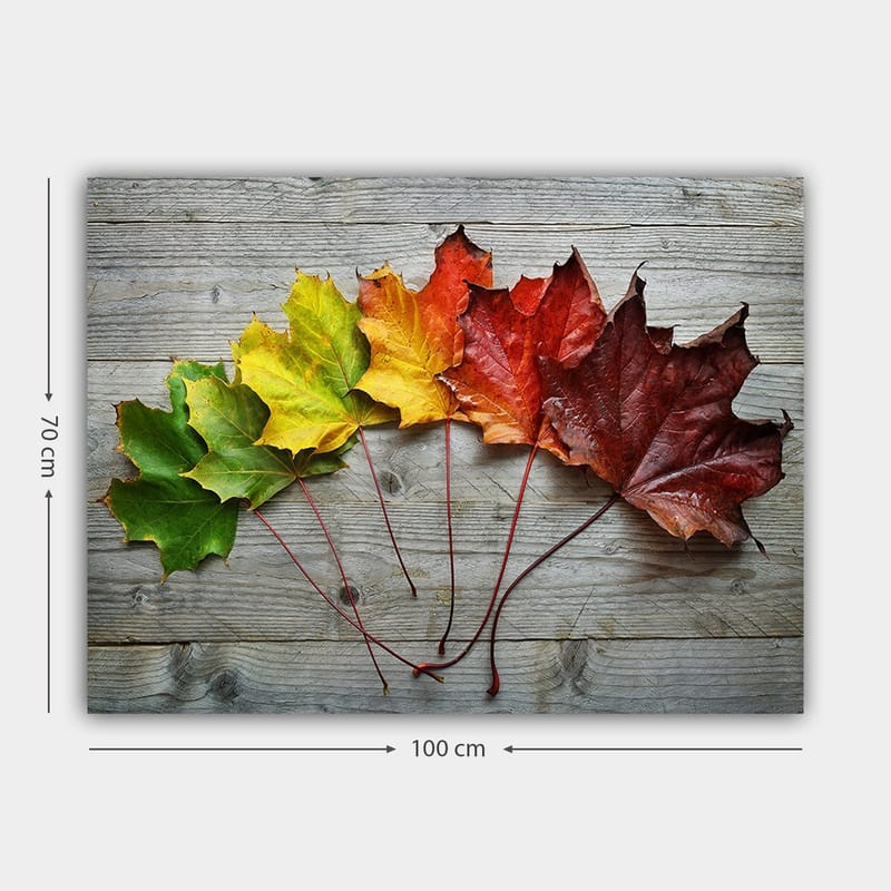 Lerretsbilde 70x100 cm - Samling av fargerike høstblader i forskjellige nyanser på en treflate - Grønn / Gul / Rød - Innredning - Bilder & kunst - Lerretsbilder