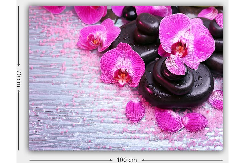 Lerretsbilde 70x100 cm - Samling av lilla orkideer og svarte steiner på en lys bakgrunn - Lilla / Svart - Innredning - Bilder & kunst - Lerretsbilder