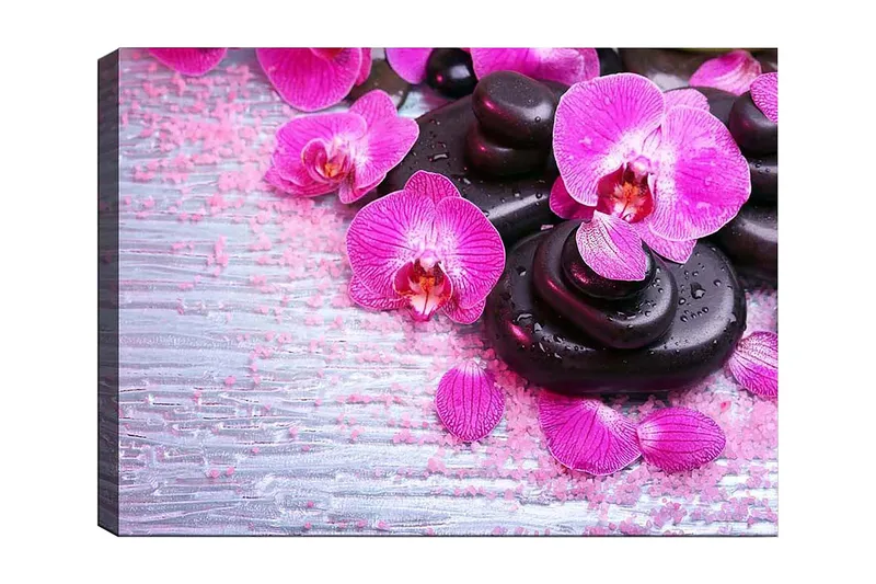 Lerretsbilde 70x100 cm - Samling av lilla orkideer og svarte steiner på en lys bakgrunn, Lilla / Svart