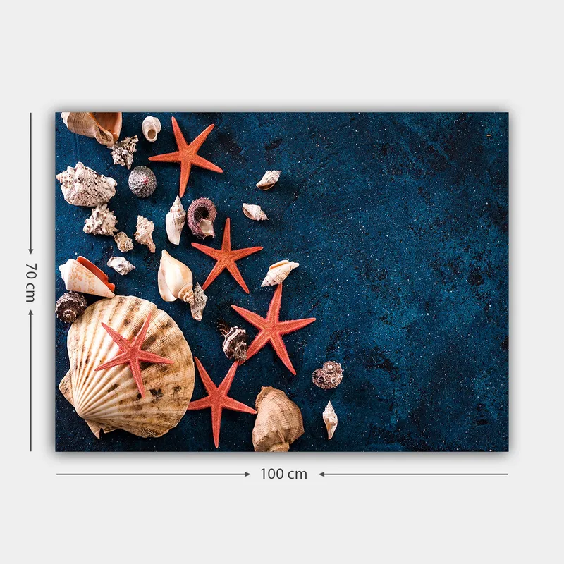 Lerretsbilde 70x100 cm - Samling av skjell og sjøstjerner på en dypblå overflate - Dyp blå / Rød / Beige - Innredning - Bilder & kunst - Lerretsbilder