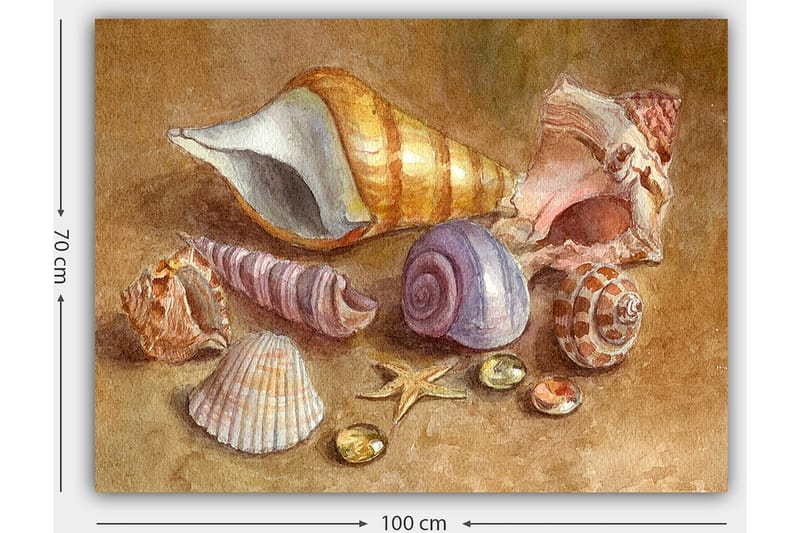 Lerretsbilde 70x100 cm - Samling av skjell og steiner i myke, naturlige farger - Beige / Lilla / Oransje - Innredning - Bilder & kunst - Lerretsbilder