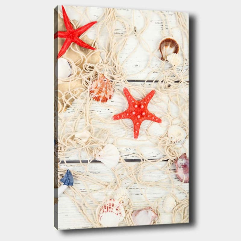 Lerretsbilde 70x100 cm - Samling av skjell og stjerneformede sjøstjerner på et nett, Rød / Beige / Hvit