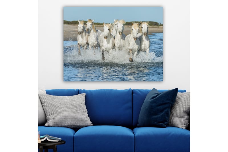 Lerretsbilde 70x100 cm - Seks hvite hester galopperer gjennom vannet - Hvit / Lys blond - Innredning - Bilder & kunst - Lerretsbilder