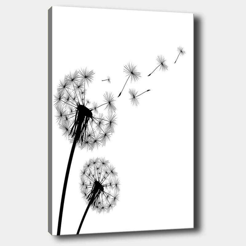 Lerretsbilde 70x100 cm - Silhuetter av løvetann som sprer frøene sine i vinden, Svart / Hvit