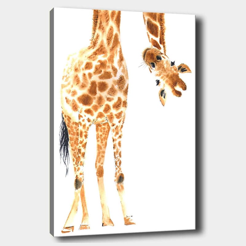 Lerretsbilde 70x100 cm - Sjiraff med karakteristiske flekker som strekker seg mot betrakteren - Oransje / Brun / Svart - Innredning - Bilder & kunst - Lerretsbilder