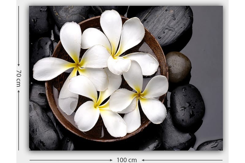 Lerretsbilde 70x100 cm - Skål med hvite blomster og svarte steiner - Hvit / Svart / Gul - Innredning - Bilder & kunst - Lerretsbilder