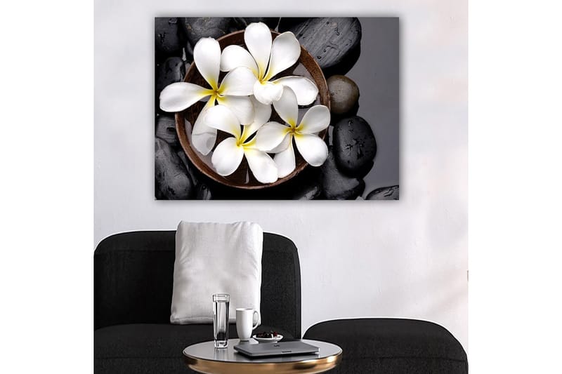 Lerretsbilde 70x100 cm - Skål med hvite blomster og svarte steiner - Hvit / Svart / Gul - Innredning - Bilder & kunst - Lerretsbilder