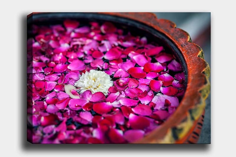 Lerretsbilde 70x100 cm - Skål med rosa roseblader og en hvit blomst som flyter på overflaten - Rosa / Hvit - Innredning - Bilder & kunst - Lerretsbilder