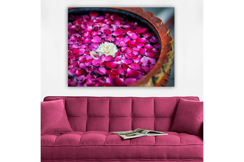 Lerretsbilde 70x100 cm - Skål med rosa roseblader og en hvit blomst som flyter på overflaten - Rosa / Hvit - Innredning - Bilder & kunst - Lerretsbilder
