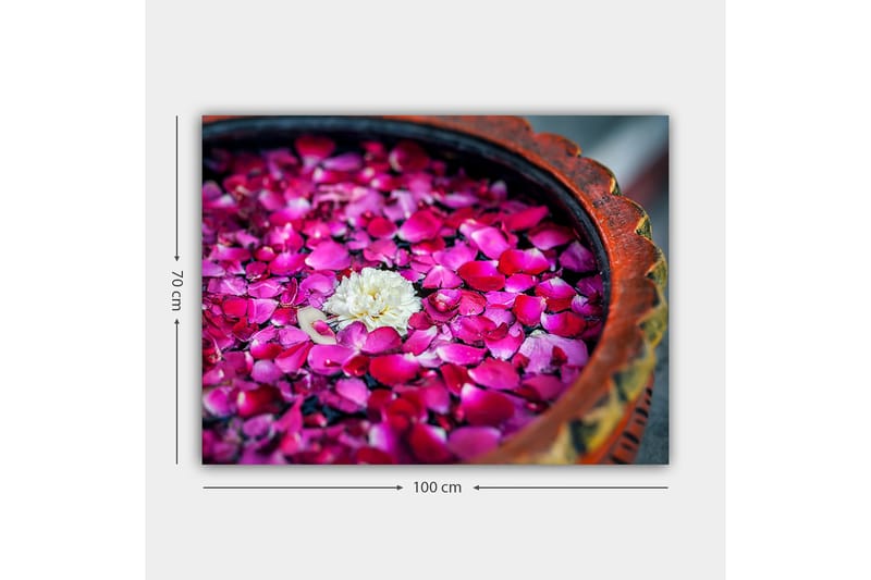 Lerretsbilde 70x100 cm - Skål med rosa roseblader og en hvit blomst som flyter på overflaten - Rosa / Hvit - Innredning - Bilder & kunst - Lerretsbilder