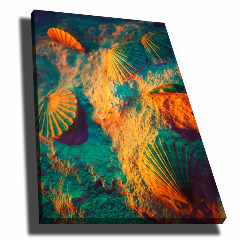 Lerretsbilde 70x100 cm - Skalldyr på sand med en fargerik og drømmende bakgrunn, Turkis / Oransje / Lilla