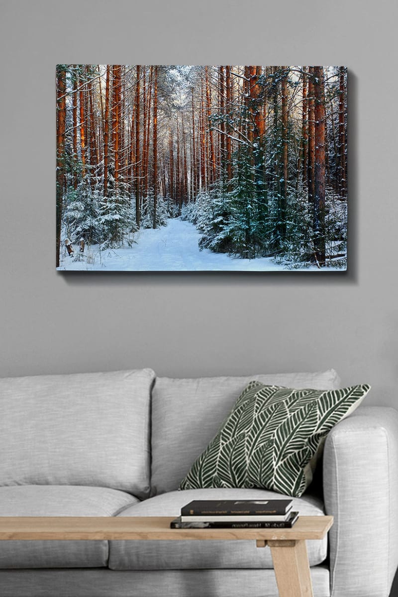 Lerretsbilde 70x100 cm - Snødekt skogssti omgitt av høye, rødbrune furutrær - Rødbrun / Hvit / Grønn - Innredning - Bilder & kunst - Lerretsbilder