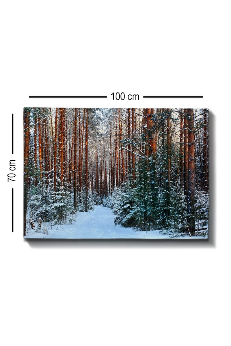 Lerretsbilde 70x100 cm - Snødekt skogssti omgitt av høye, rødbrune furutrær - Rødbrun / Hvit / Grønn - Innredning - Bilder & kunst - Lerretsbilder