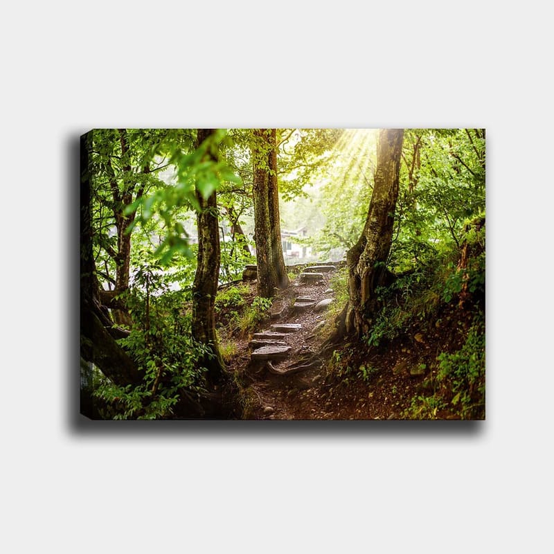 Lerretsbilde 70x100 cm - Solbelyst sti omgitt av grøntområder i et skogsmiljø, Grønn / Brun