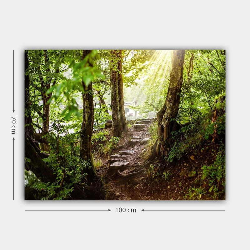 Lerretsbilde 70x100 cm - Solbelyst sti omgitt av grøntområder i et skogsmiljø - Grønn / Brun - Innredning - Bilder & kunst - Lerretsbilder