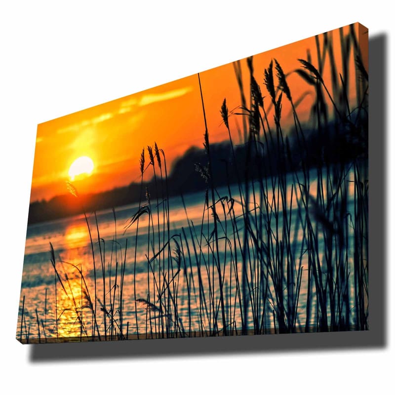 Lerretsbilde 70x100 cm - Solnedgang over en rolig vannflate med gress som svaier i vinden, Oransje / Blå / Svart