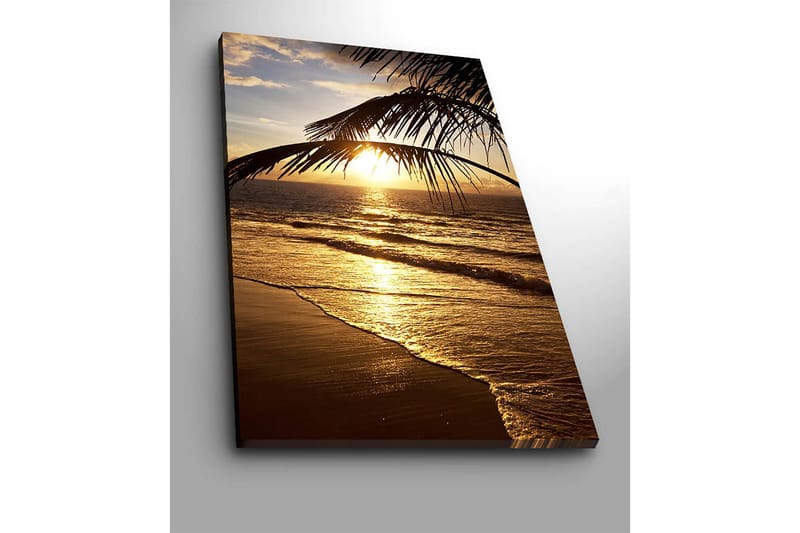 Lerretsbilde 70x100 cm - Solnedgang over havet med palmer i forgrunnen - Gull / Oransje / Brun - Innredning - Bilder & kunst - Lerretsbilder